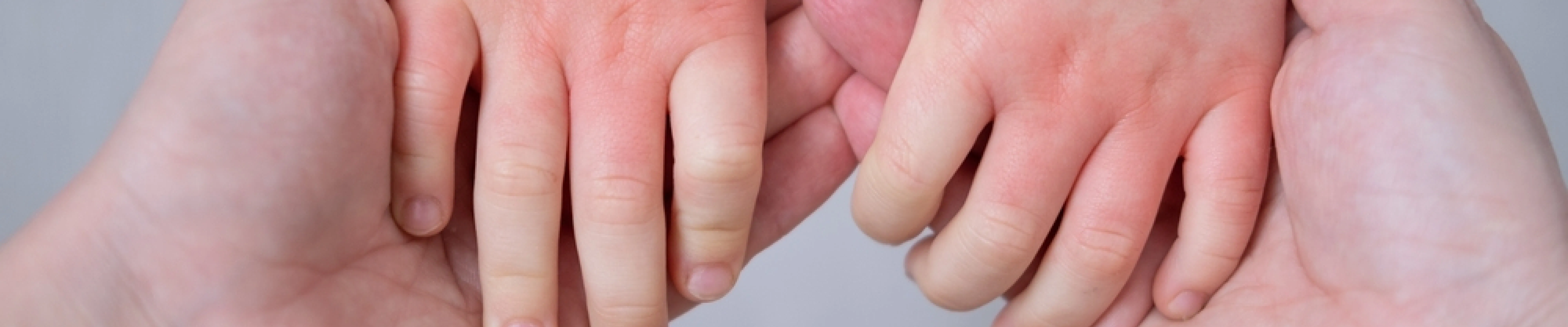 carpet cleaning in bronx, carpet cleaning in bronx, carpet cleaning bronx, carpet cleaners in bronx, carpet cleaners in bronx, commercial carpet cleaning, commercial carpet cleaning in bronx, bronx rug cleaners, rug cleaning services in bronx, same day carpet cleaning, same day rug cleaning