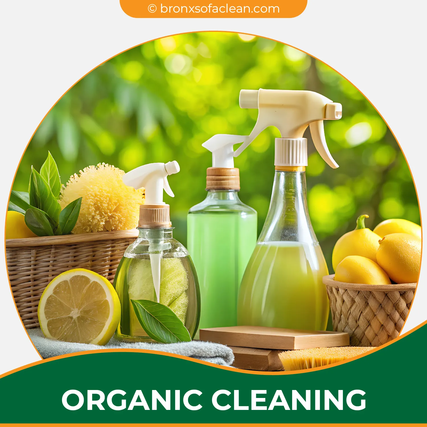 carpet cleaning in bronx, carpet cleaning in new york, carpet cleaning bronx, carpet cleaners in bronx, carpet cleaners in new york, commercial carpet cleaning, commercial carpet cleaning in bronx, bronx rug cleaners, rug cleaning services in bronx, same day carpet cleaning, same day rug cleaning